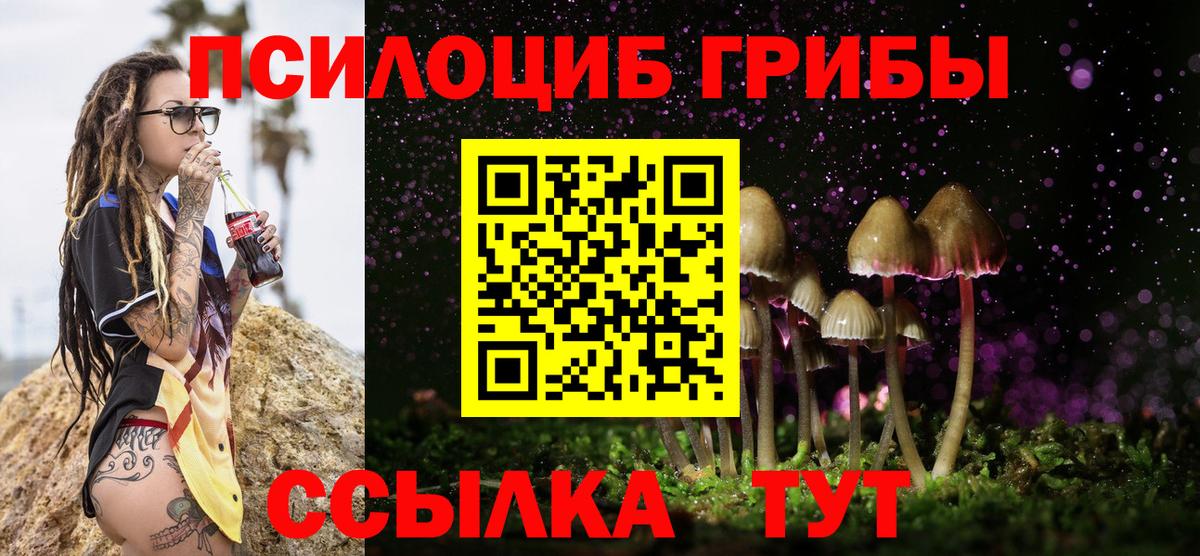 Псилоцибиновые грибы прущие грибы Изобильный
